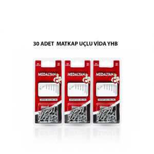 MEDALYAN DL-100 ( 3.9X19 ) ( 30PCS ) MATKAP UÇLU VİDA*12X12