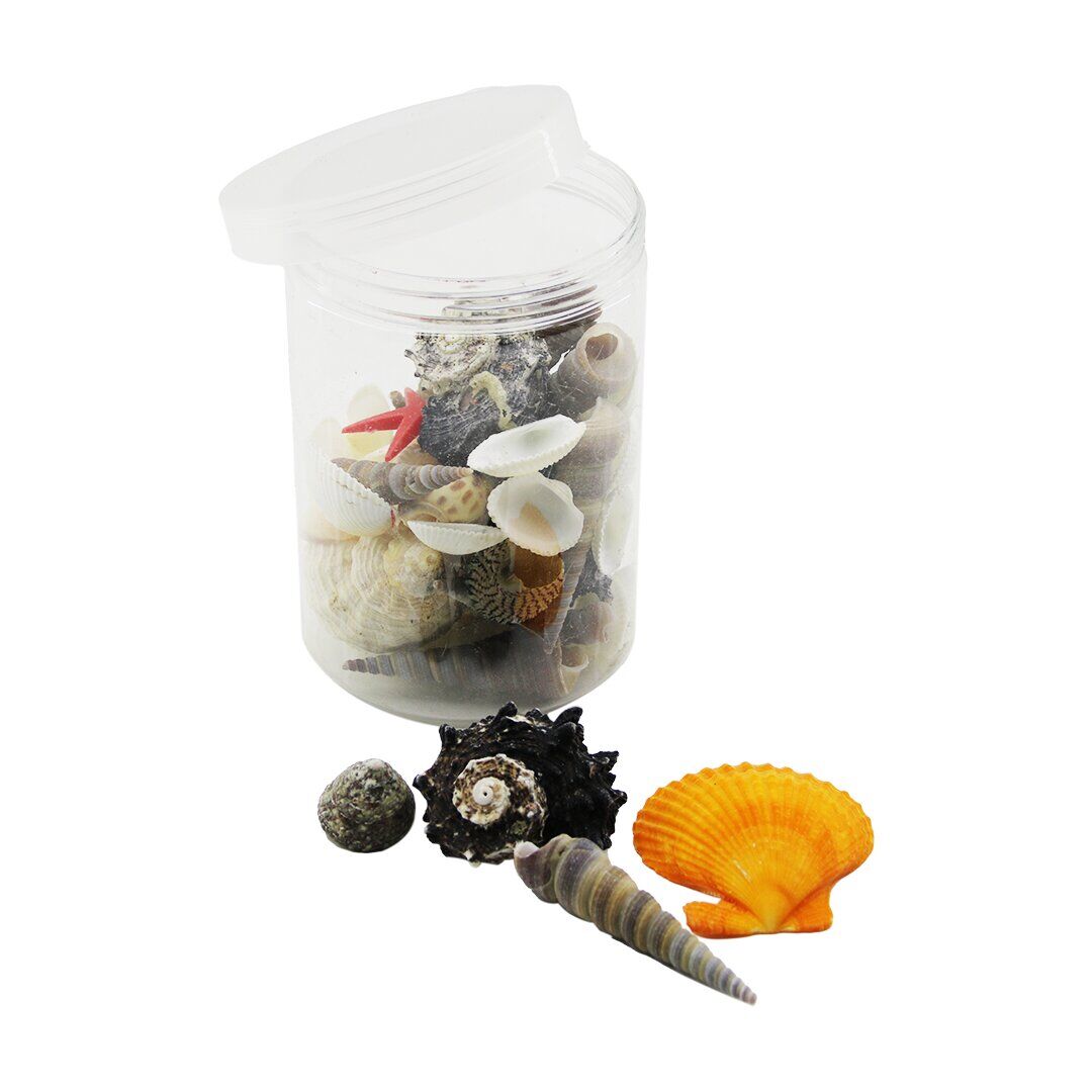 YAKUT-11574 ( PLASTİK KAVANOZ ) MİDYE DENİZ KABUK VAZO TAŞI*48