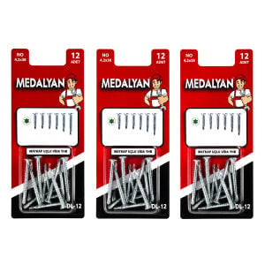 MEDALYAN DL-12 ( 4.2X38 ) ( 12PCS ) MATKAP UÇLU VİDA YHB*12X12