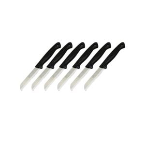 SOLİNGEN MEYVE BIÇAK ( SİYAH PLASTİK SAPLI  )*36X6