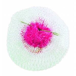 BUTTERF ORGAZ NURGAZ F-1 LÖKÜS GÖMLEK*12X200