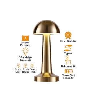 NOAS ATİNA YL86-1231 ( OVAL & METAL ) MANTAR MASA LAMBASI ( DOKUNMATİK & RENKLİ ) ( TYPE-C ŞARJLI ) ( 3 FONKSİYONLU )*20