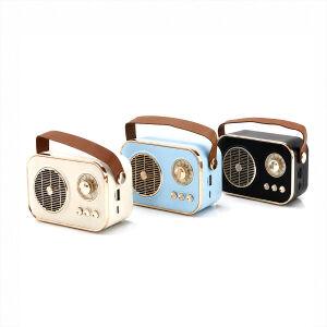 PLATOON PL-4641 (WİRELESS) HOPARLÖR & SPEAKER (IŞIKLI) (USB ŞARJLI) (RENKLİ KASA & BRONZ ÇERÇEVE)(USB & DC 5V & TF)*80
