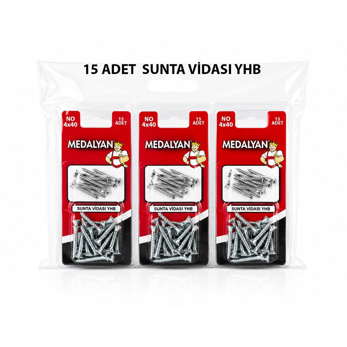 MEDALYAN DL-06 ( 4X40 ) ( 15PCS ) SUNTA VİDASI*12X10