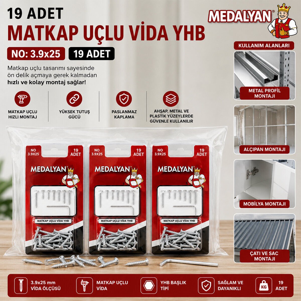 MEDALYAN DL-101 ( 3.9X25 ) ( 19PCS ) MATKAP UÇLU VİDA*12X10