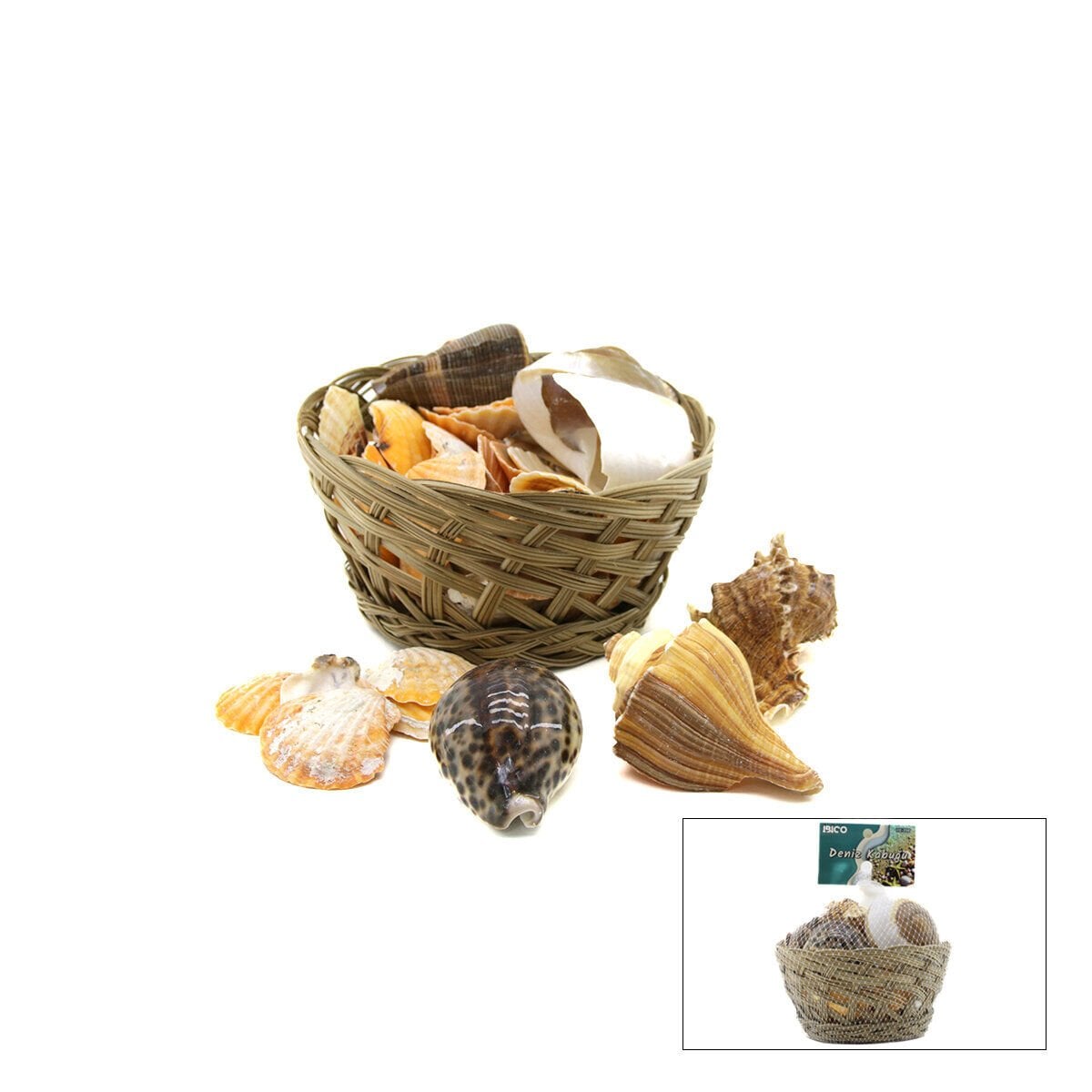 İBİCO İ12-250 ( AHŞAP SEPET & FİLELİ ) ( RENKLİ MİX ) MİDYE & DENİZ KABUK VAZO TAŞI*24