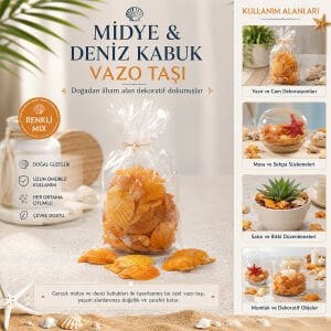 İBİCO İ12-252 ( POŞETLİ ) ( RENKLİ MİX ) MİDYE & DENİZ KABUK VAZO TAŞI*50