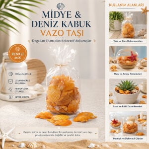 İBİCO İ12-252 ( POŞETLİ ) ( RENKLİ MİX ) MİDYE & DENİZ KABUK VAZO TAŞI*50