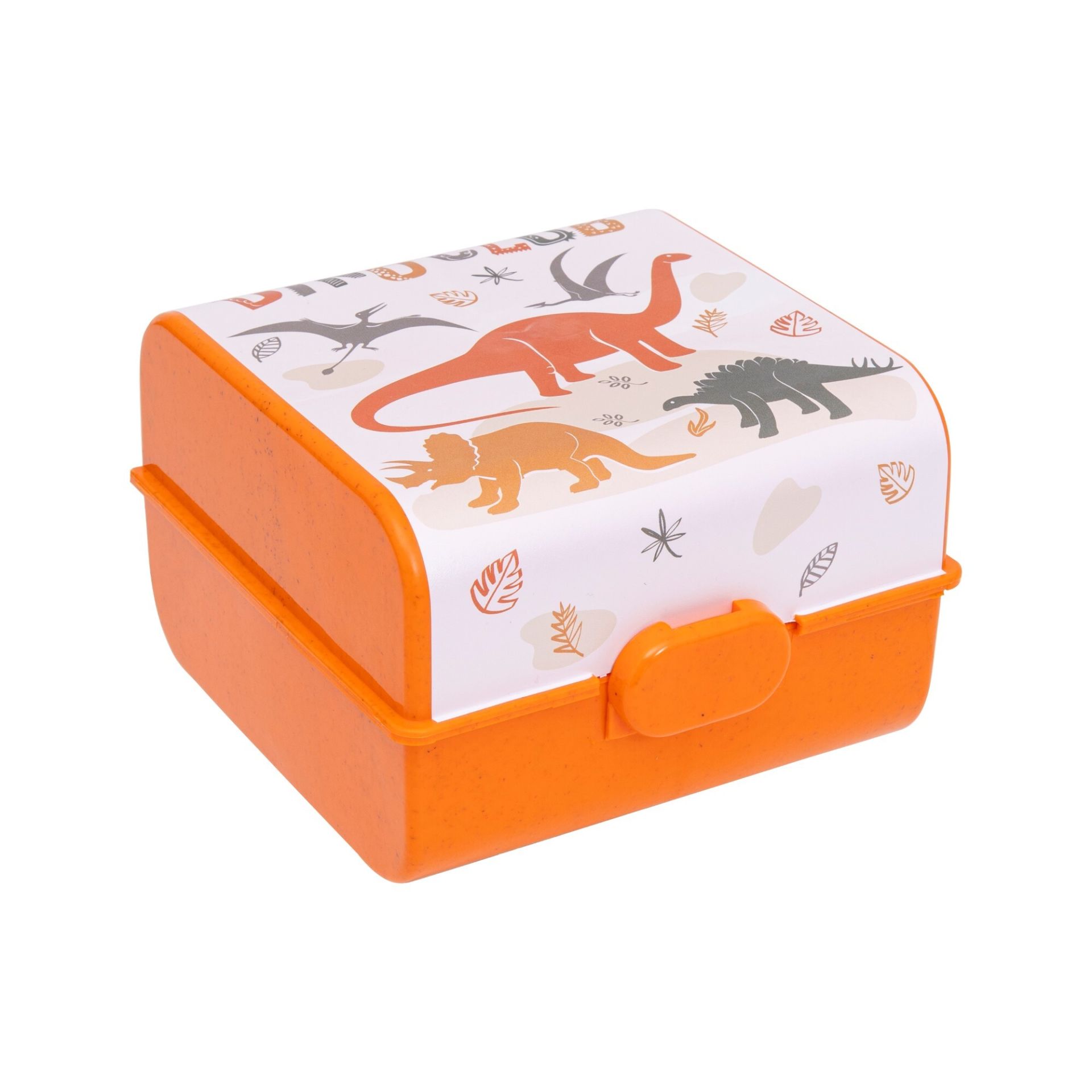 DESENLİ BESLENME KUTUSU - DINO CLUB *18