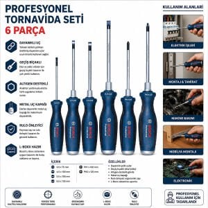 BOSCH-1 600 A01 6BF ( 428 ) ( 6PCS ) PROFESYONEL TORNAVİDA SETİ ( PH2X125 - PH1X100 - 3.5X75 - 6.5X125 - 5.5X100 - 4.5X100 )*1
