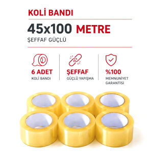 BANTİX ( ŞEFFAF ) ( FLEX HOTMELT PRO ) ( 45MMX100MT ) KOLİ BANTI ( BANDI )*6X12