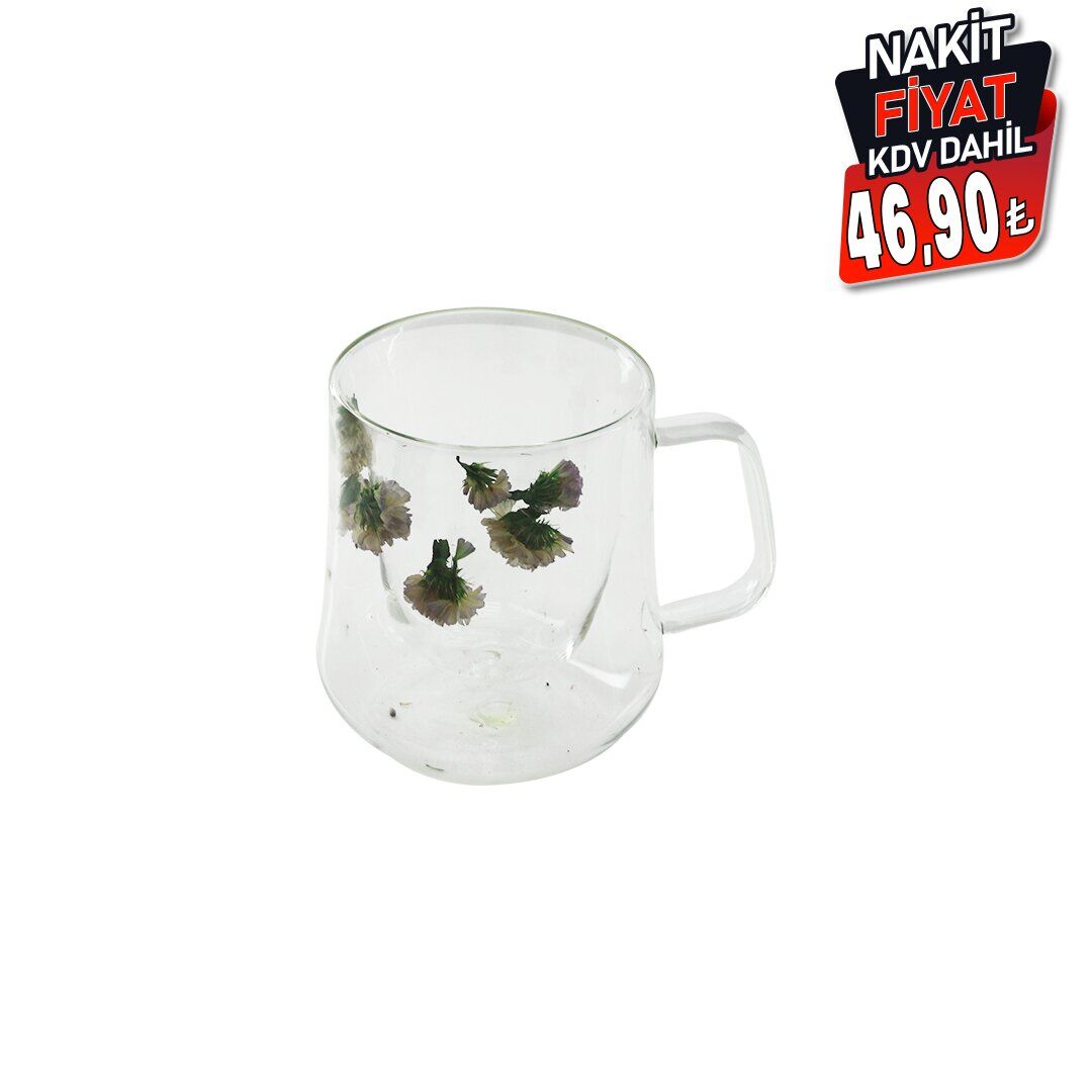 SDR-A4 ( 350ML & KULPLU ) ( ÇİFT CİDARLI & ÇİÇEKLİ ) CAM BARDAK*100=K